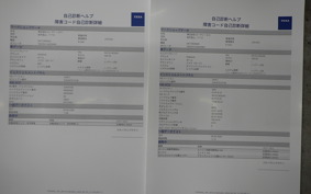 YAMAHA YZF R-3 2019 RH13J