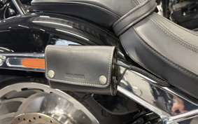 HARLEY FLFBS 2021 YGK