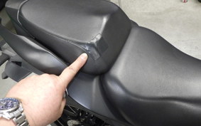 SUZUKI ｼﾞｸｻｰ250SF 2025 ED22B