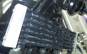 YAMAHA XJR400 1995 4HM