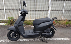 HONDA MANY CTOR AF79