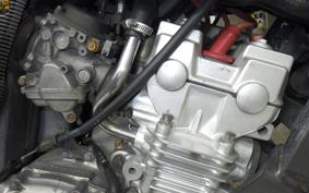 HONDA HORNET 250 MC31