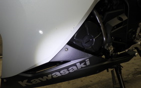 KAWASAKI NINJA 250 EX250L