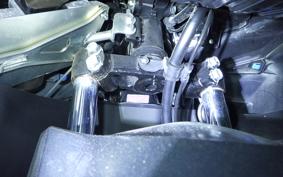 HONDA PCX 125 2006 JK05