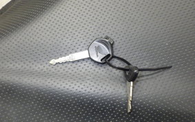 HONDA ﾀﾞﾝｸ 2015 AF78