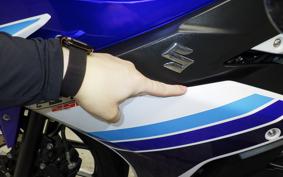 SUZUKI GSX250 R 1998