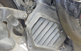 HONDA GIORNO 3 AF77
