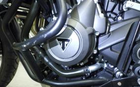 TRIUMPH TIGER 800 2019