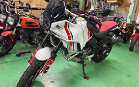 DUCATI DESERT X 2025 1X00