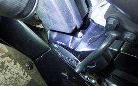 KAWASAKI NINJA150RR 2019