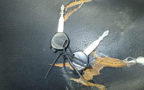 HONDA PCX125 2024 JF28