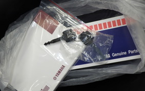 YAMAHA CYGNUSｸﾞﾘﾌｧｽ SEJ4J