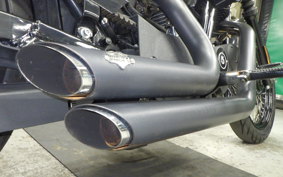 HARLEY XL1200N 2010