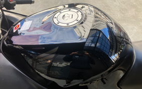 HONDA CBR1100XX 2005 SC35