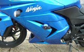 KAWASAKI NINJA 250R EX250K