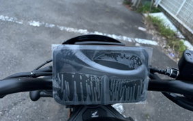 HONDA REBEL 1100 DCT 2025 SC87