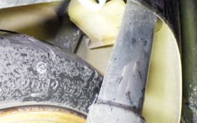 HONDA TODAY 2024 AF61