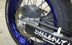KAWASAKI KLX250D TRACKER X 2026 LX250V