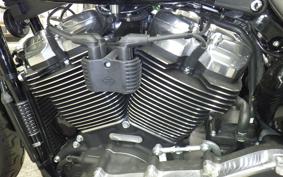 HARLEY FXBB1920 2025