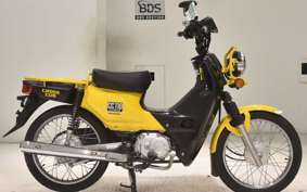 HONDA C110 SUPER CUB 2009 JA10