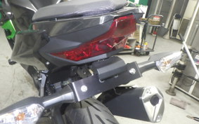 KAWASAKI NINJA 250 2