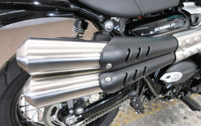 TRIUMPH STREET SCRAMBLER 2025 D5BG2X