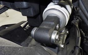 KAWASAKI Z900RS CAFE 2019