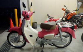 HONDA SUPER CUB50 AA09