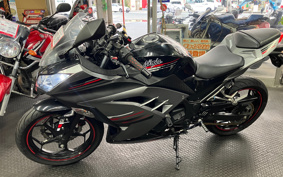 KAWASAKI NINJA 250 EX250L