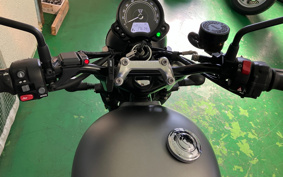 TRIUMPH  TRIUMPH  STREET  TWIN LTD 2022 DAD74G