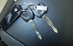 HONDA REBEL 250 A 2007 MC49