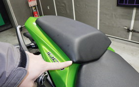 KAWASAKI NINJA 1000 2012