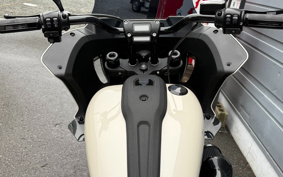 HARLEY FXLRST-TC 2023 YXZ