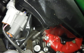 KAWASAKI ZH2 2020 ZRT00K