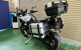 TRIUMPH TIGER 1200GTEKUSUP 2024 TAP24V