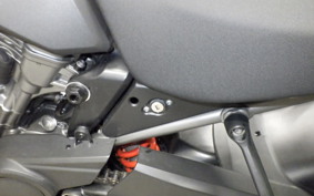 HARLEY ﾊﾟﾝ AMERICA1250S 2021