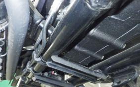 HARLEY XL1200NS 2019