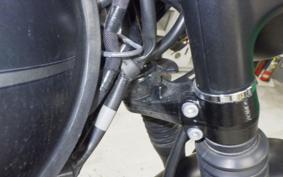 KAWASAKI W800 STREET 2021