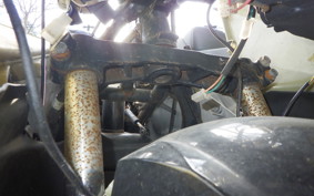 OTHER UNREGISTERED MODEL by BDS TRIKE250