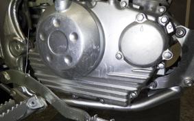 KAWASAKI KLX125 2024 LX125C