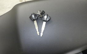 SUZUKI Vｽﾄﾛｰﾑ250A 2022