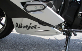 KAWASAKI NINJA ZX-4RR 2025 ZX400P