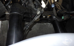 KAWASAKI ZX 1400 NINJA R A 2012