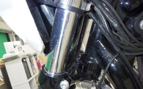 HARLEY XL1200NS 2019