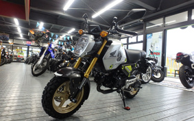 HONDA GROM JC92