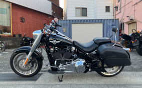 HARLEY FLFBS 2021 YGK