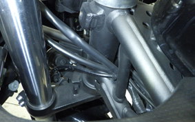 KAWASAKI NINJA 250 2020 EX250P