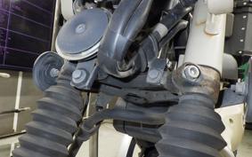 HONDA CT125 HUNTER CUB 2021 JA55