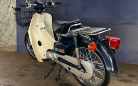 HONDA SUPER CUB50 C50