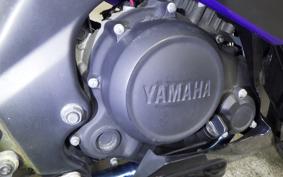 YAMAHA YZF-R15 2019
